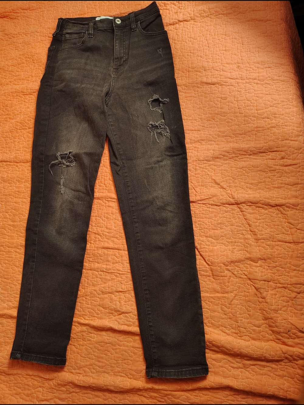 Celebrity Pink Men's Black Distressed Slim Straight Jeans